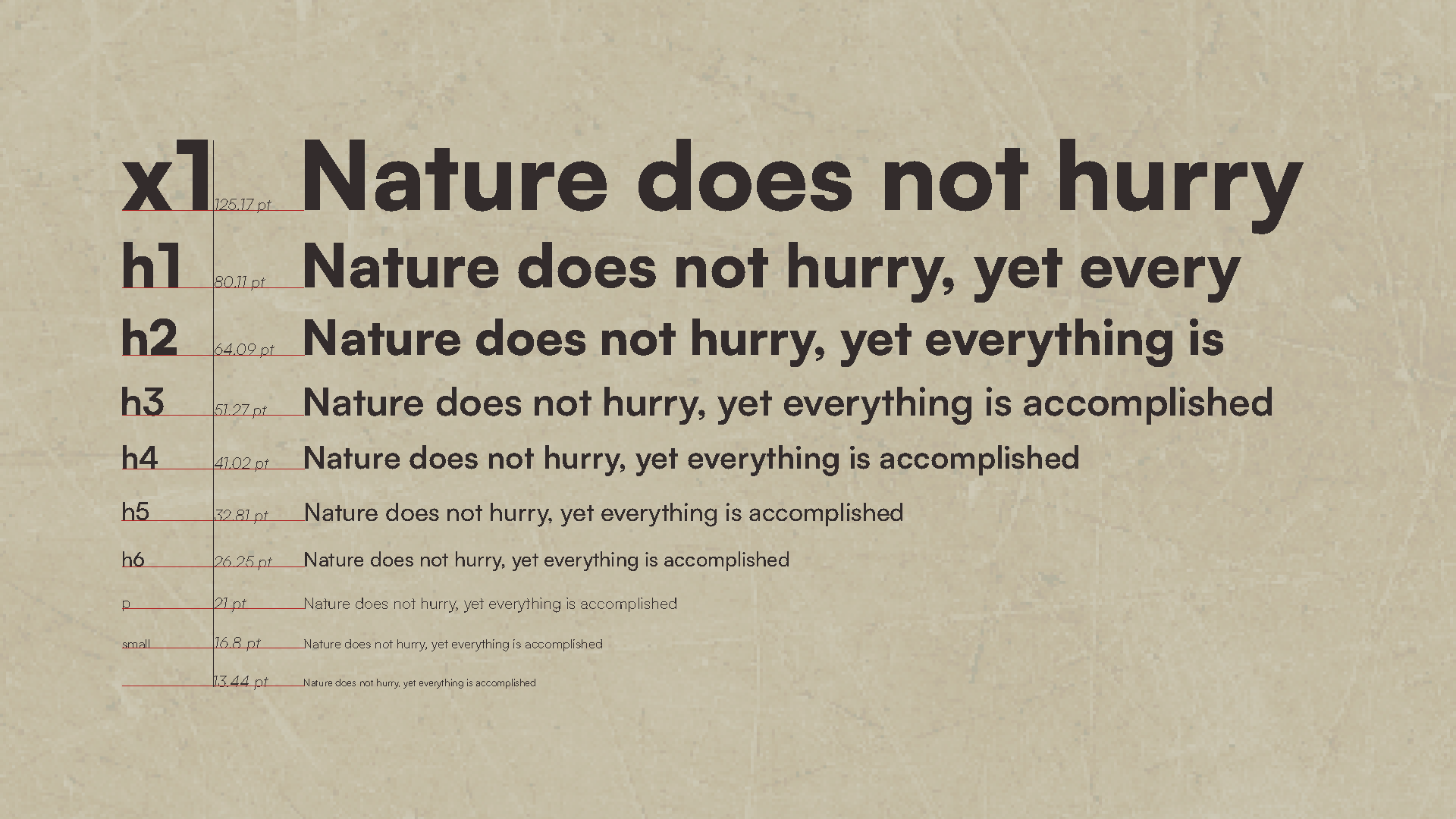 Typography specimens